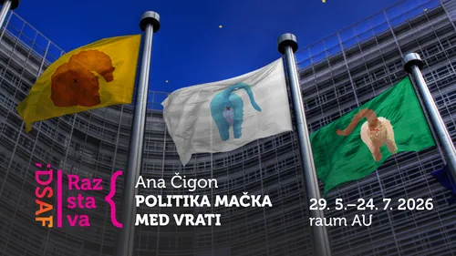 Ana Čigon: Catlands Politics Raum AU